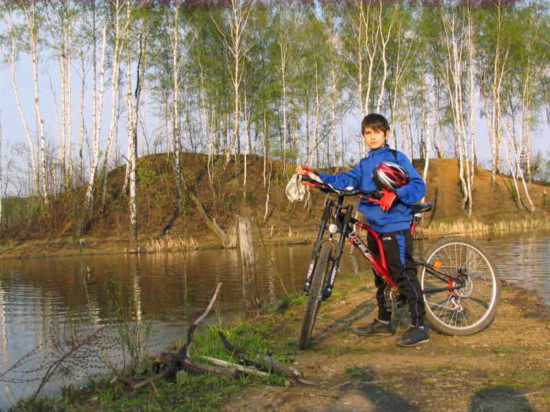 staw, drzewa, rower
