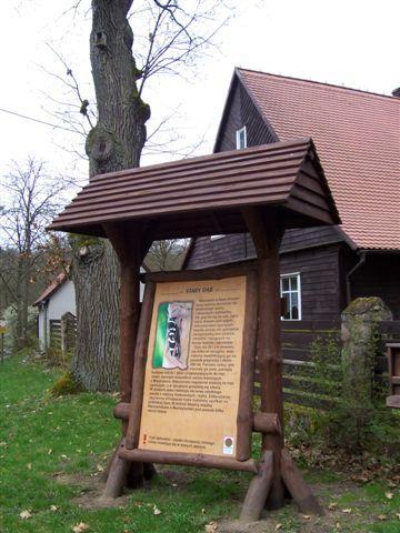 16959.jpg