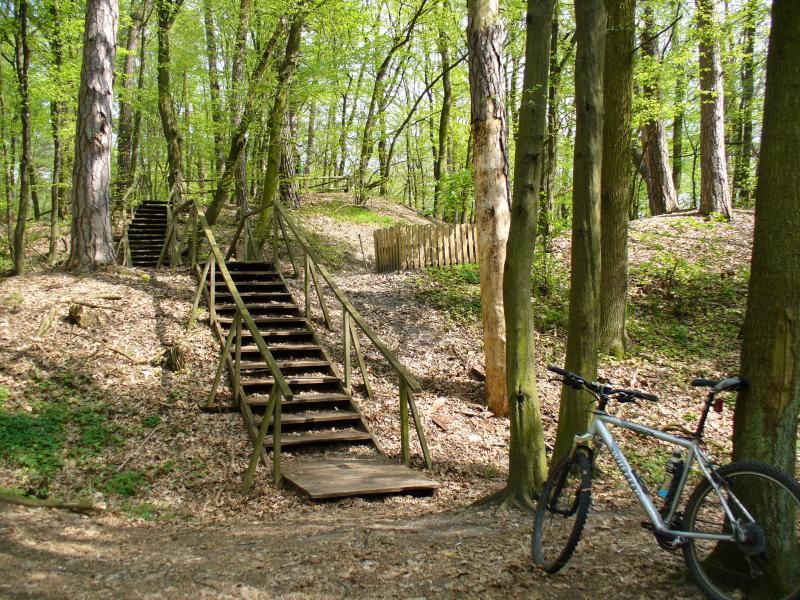 Zamczysko - grodzisko na terenie Kampinoskiego PN