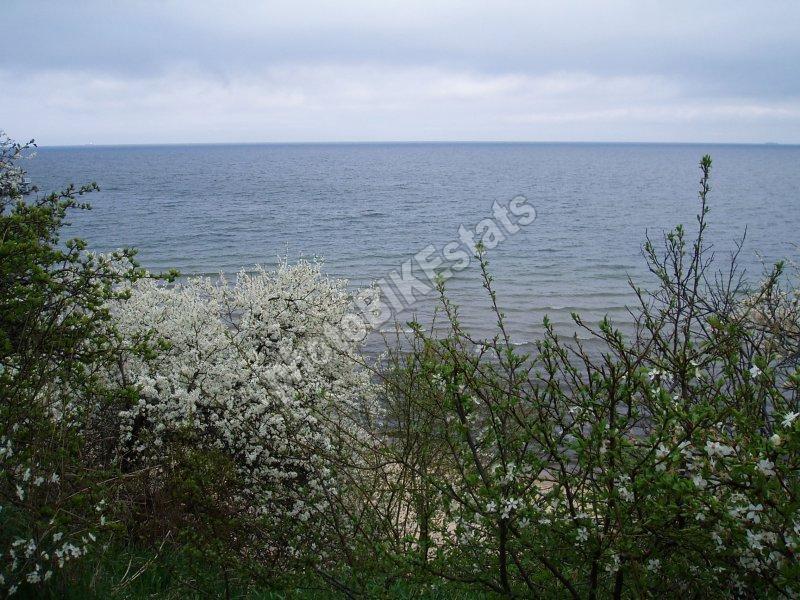 gdynia, duch, orłowo