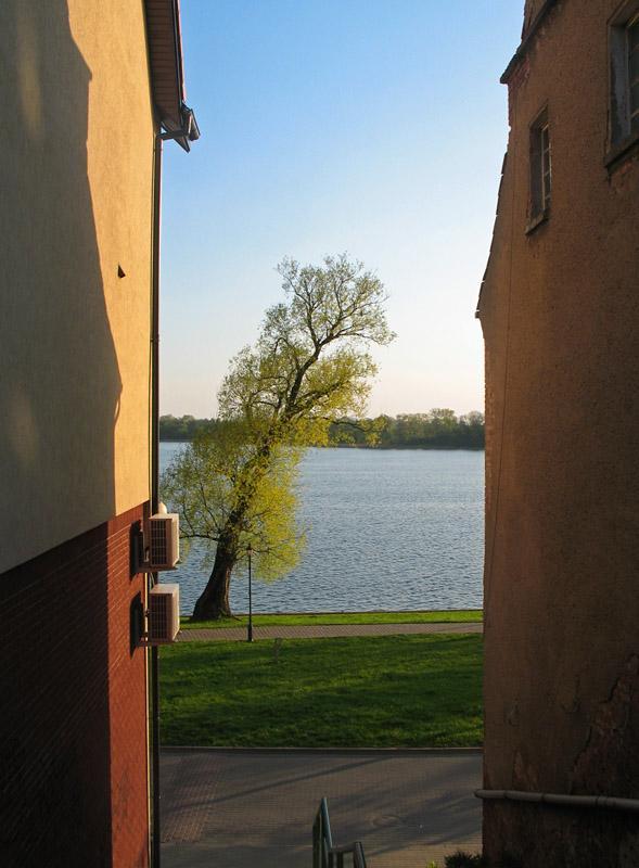 17142.jpg