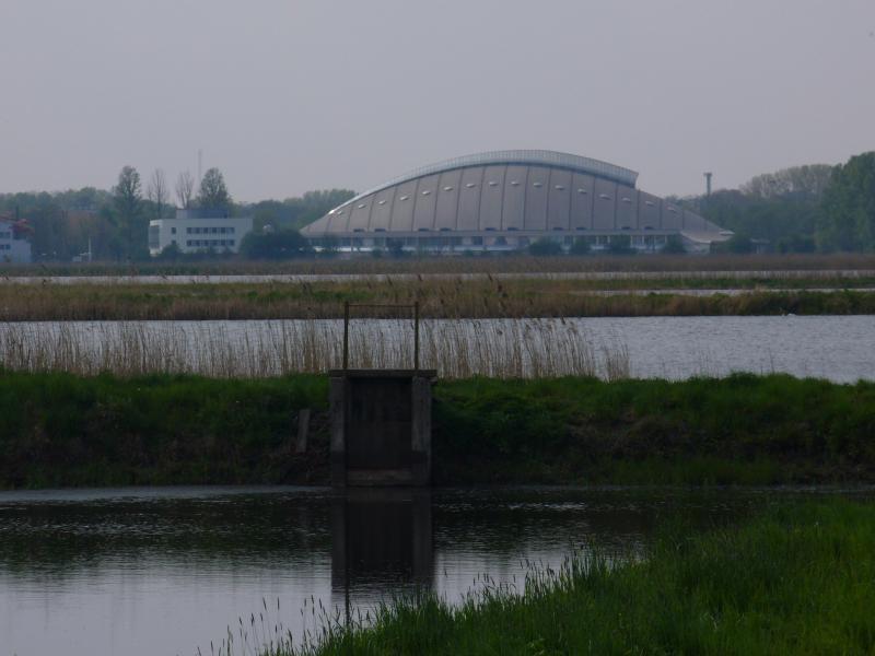 17305.jpg