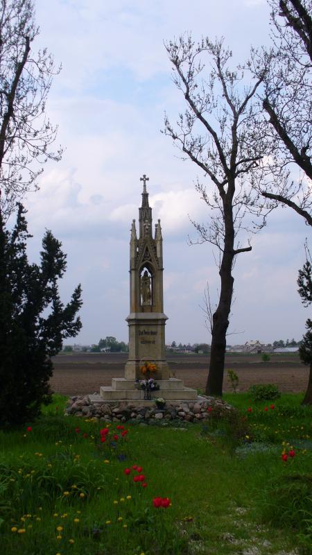 17307.jpg