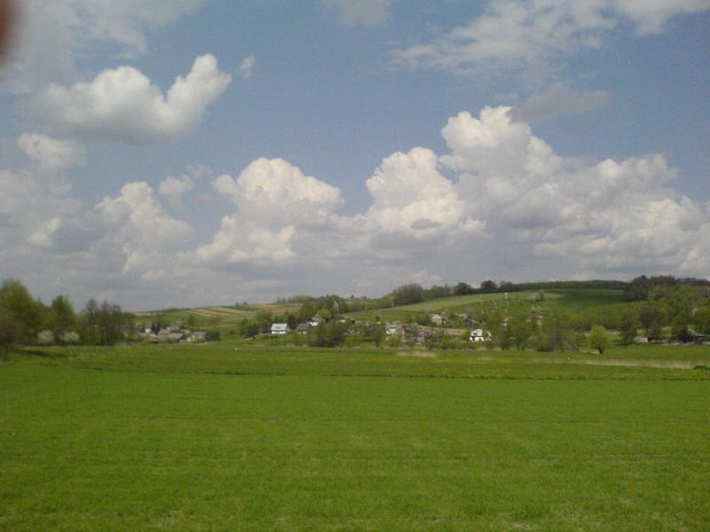 17333.jpg