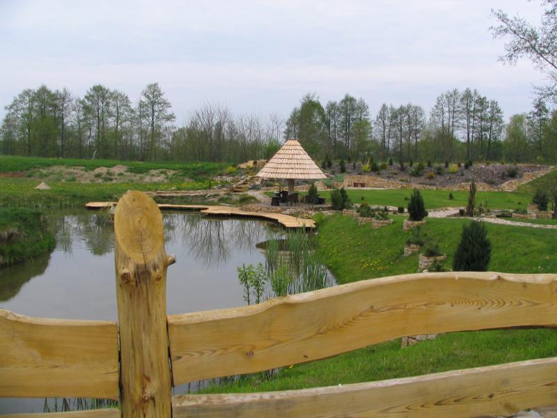 woda, oczko, ogródek
