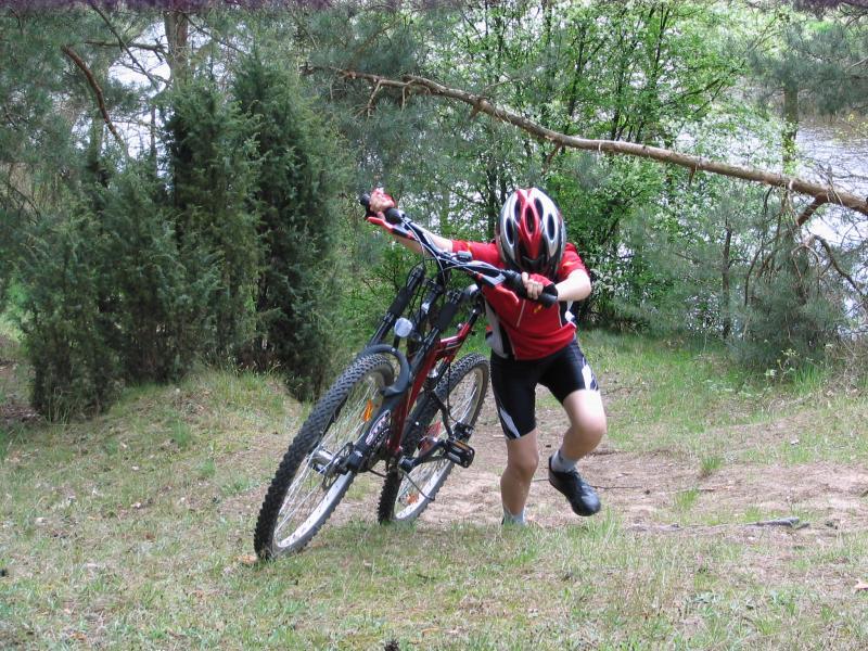 woda, las, górka, rower