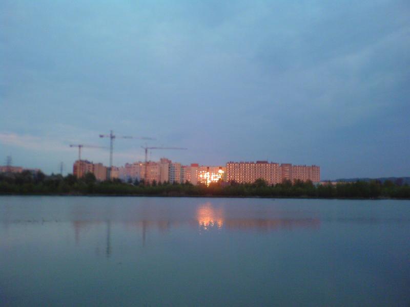 17460.jpg