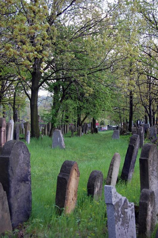 cmentarz, brzesko, żydowski