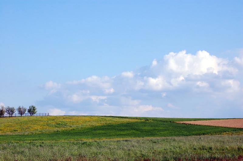 krajobraz, wola dębińska