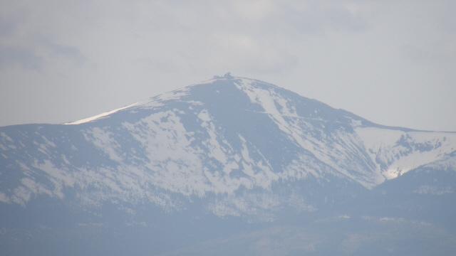 17559.jpg