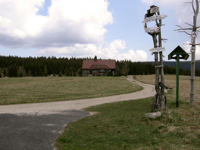 17569.jpg