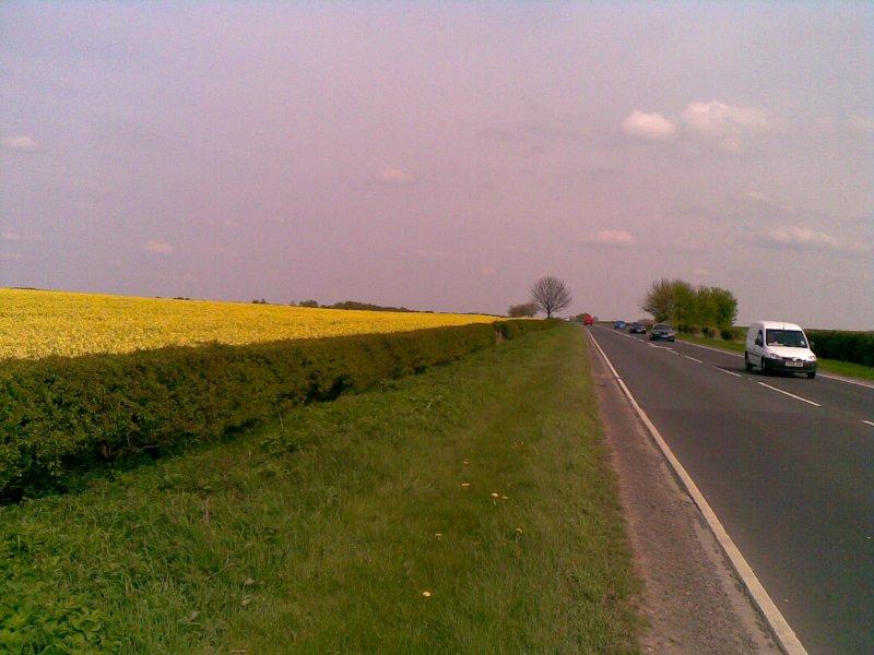 natura, yorkshire, wiosna