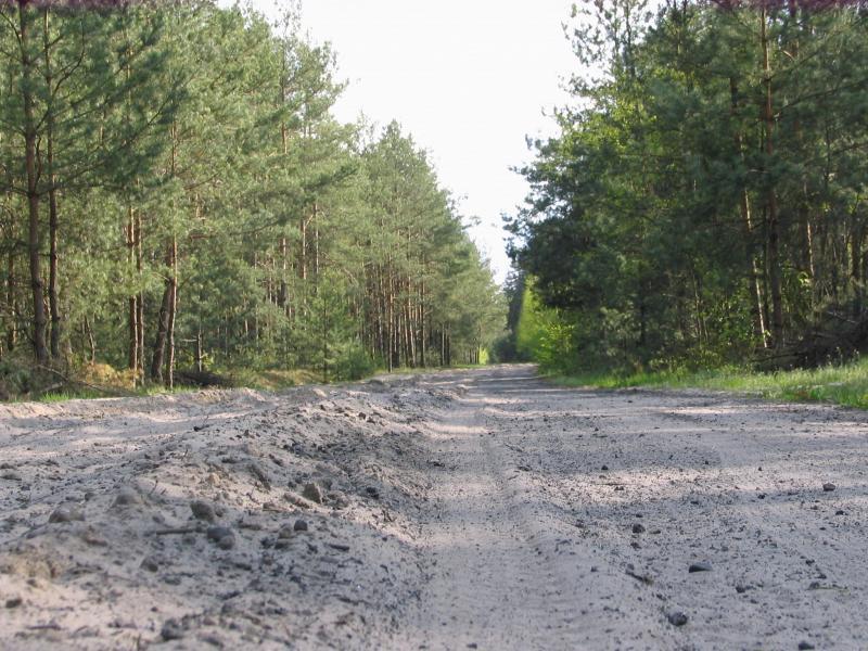 las, piach, trasa rowerowa, ostrówek