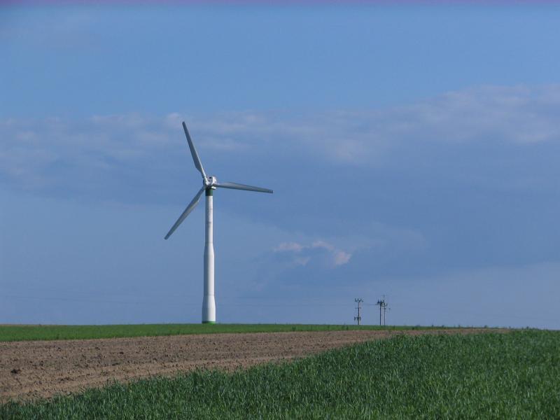 pole, wiatrak, turów