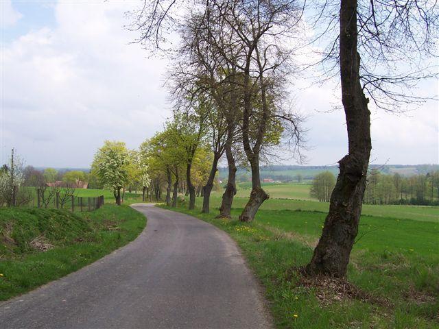 17802.jpg