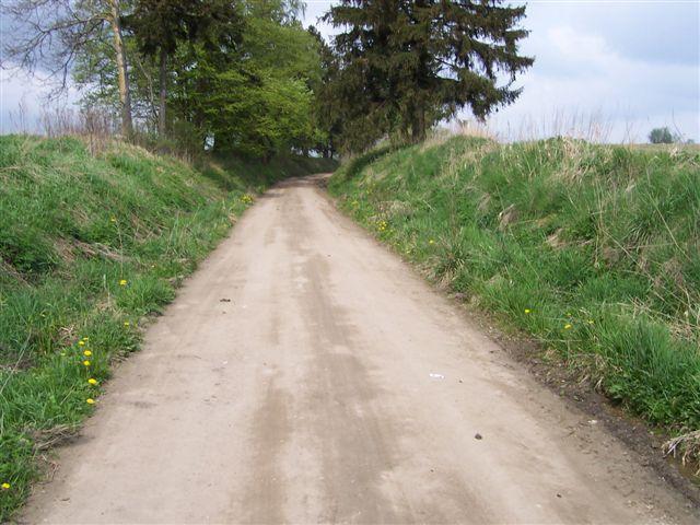 17803.jpg