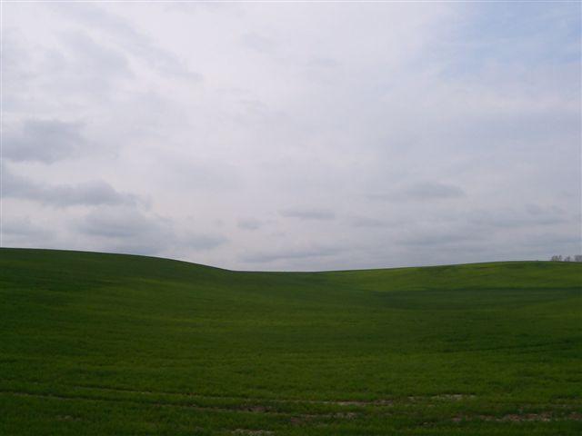 17809.jpg