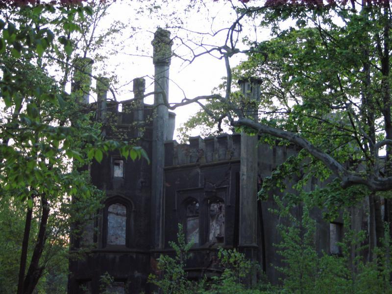 zamek, ruiny, miechowice