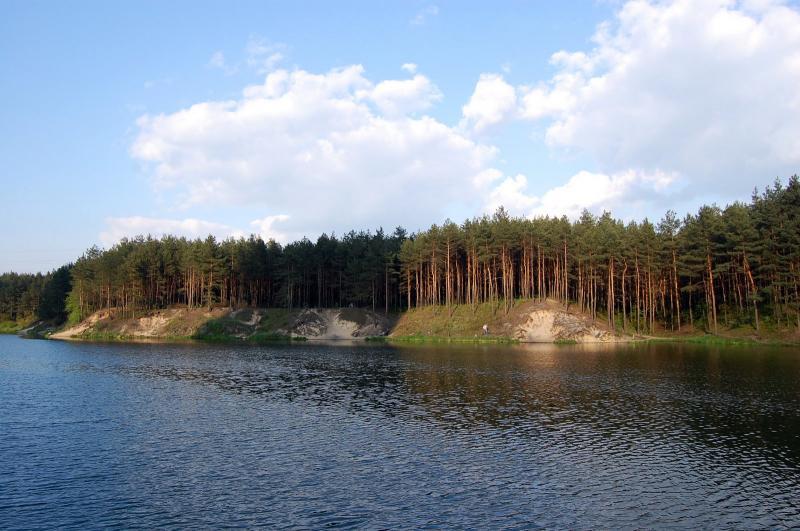 staw, siersza, kozi bród