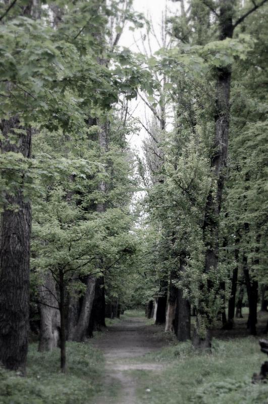 Sosnowiec - Park środula