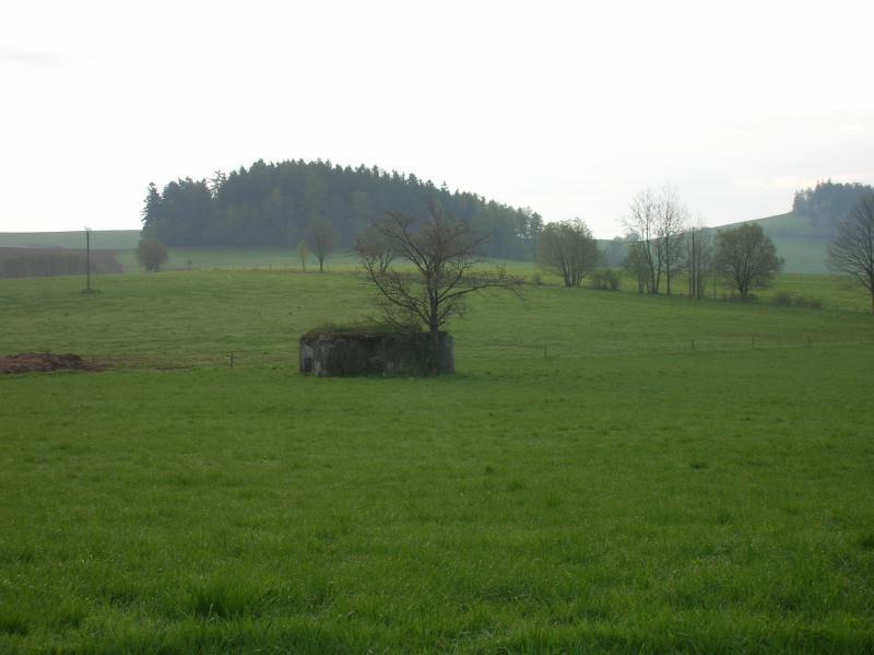 18683.jpg