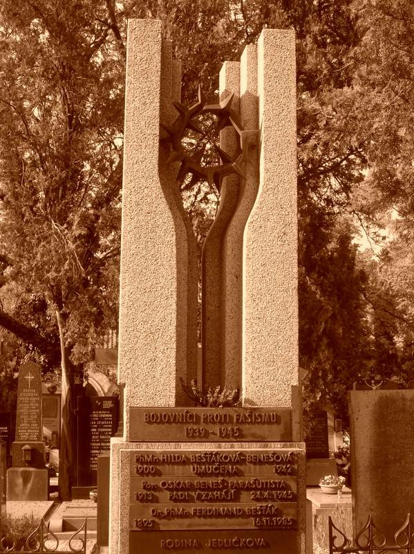 18859.jpg