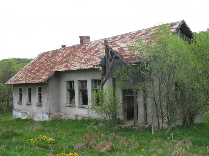 18913.jpg