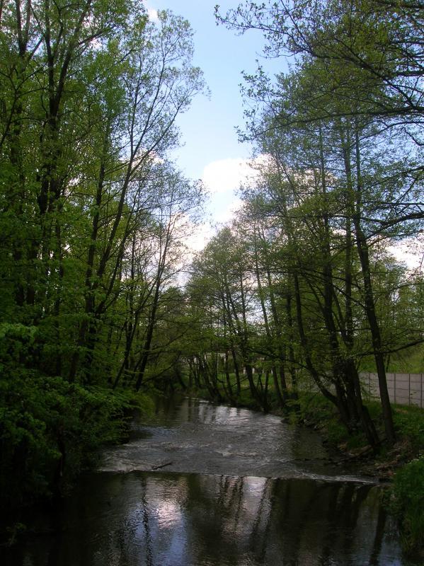 19001.jpg