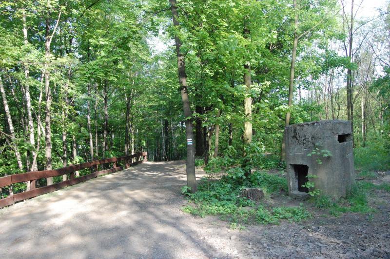 las, mysłowice, bunkier, trójkąt trzech cesarzy