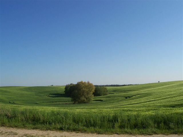 19501.jpg