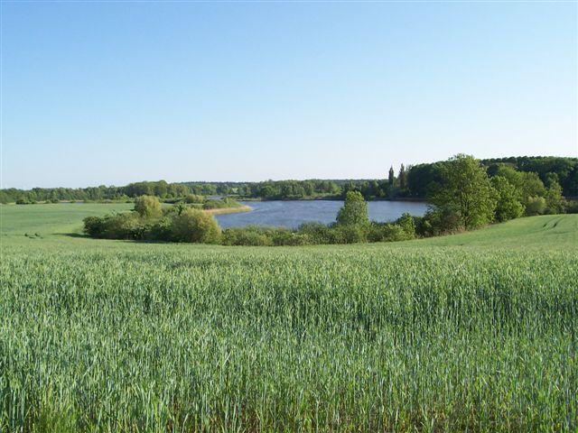 19502.jpg