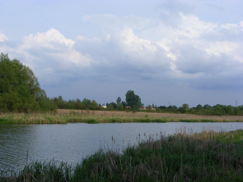 19503.jpg