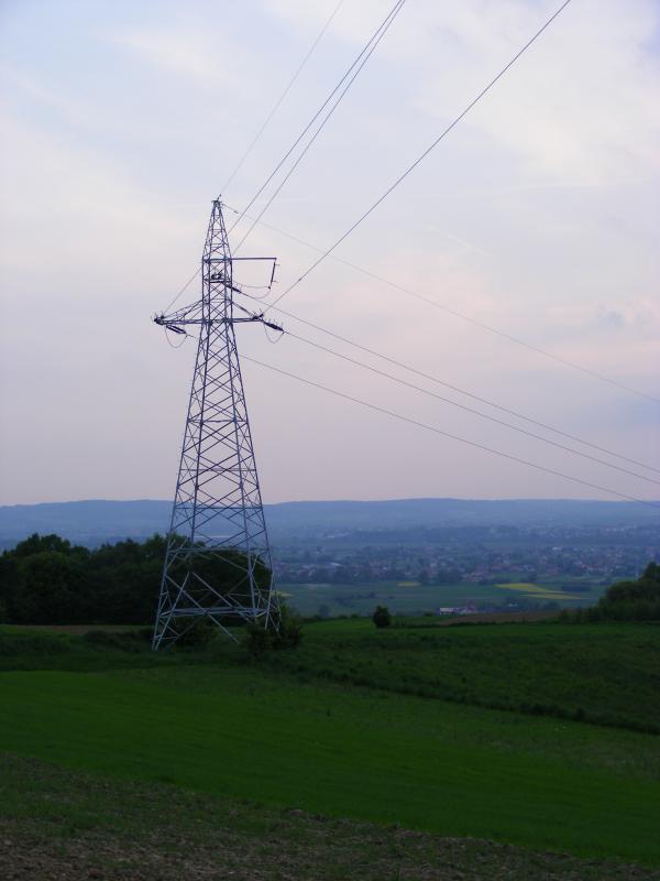 19508.jpg