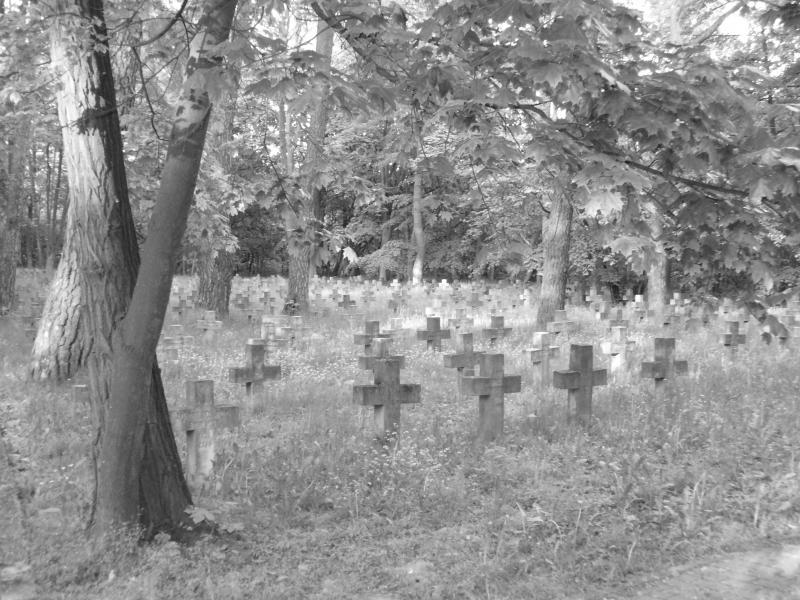 19520.jpg