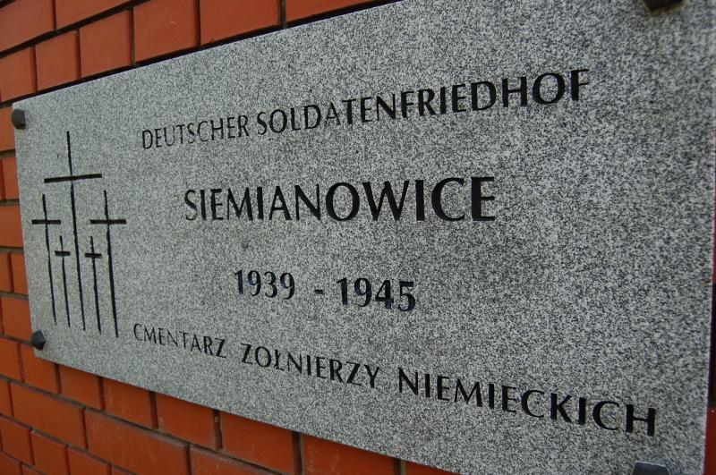 19553.jpg