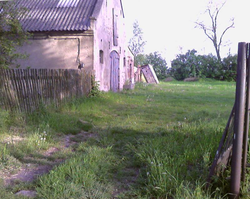 19573.jpg