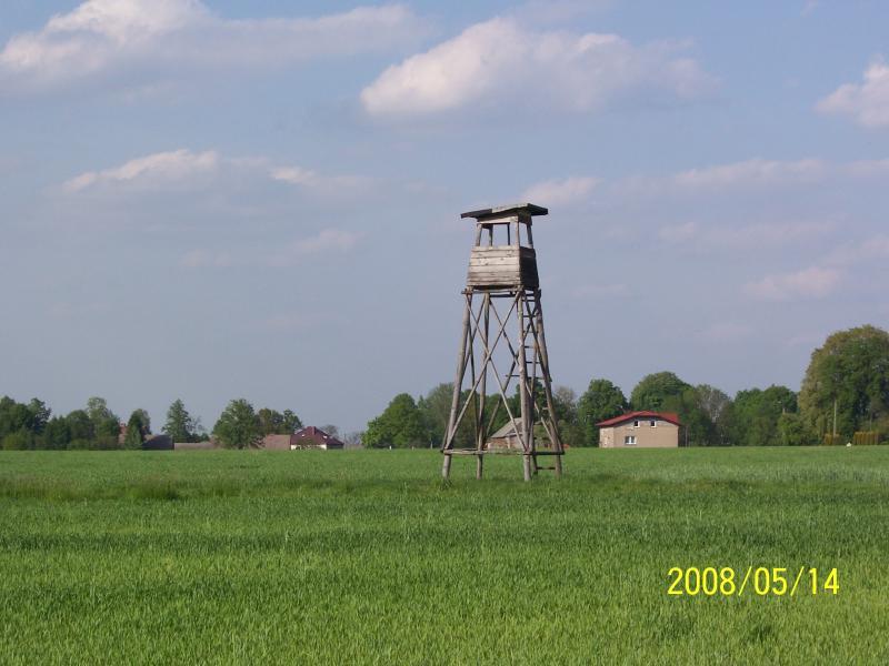 ambona