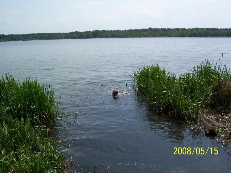 pływak aki