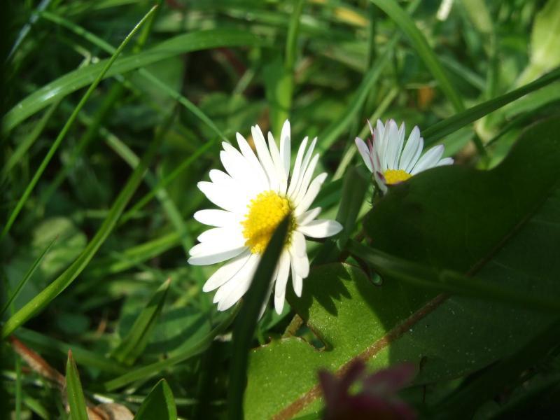 19716.jpg