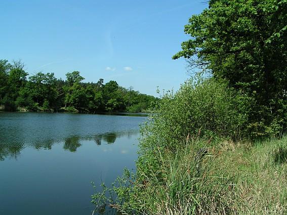 las, jezioro