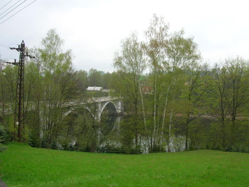 19950.jpg