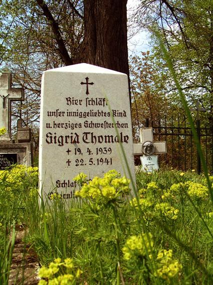 cmentarz, trestno, grób