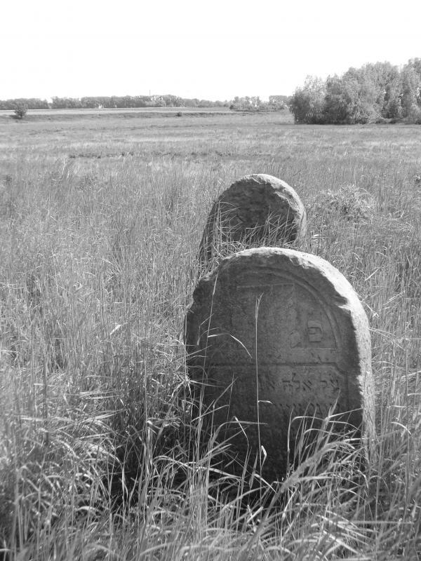 Kirkut w Błoniu