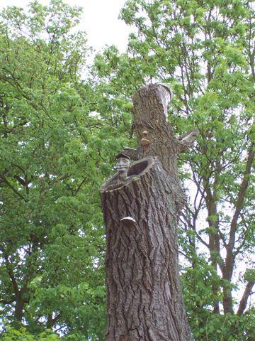 20861.jpg