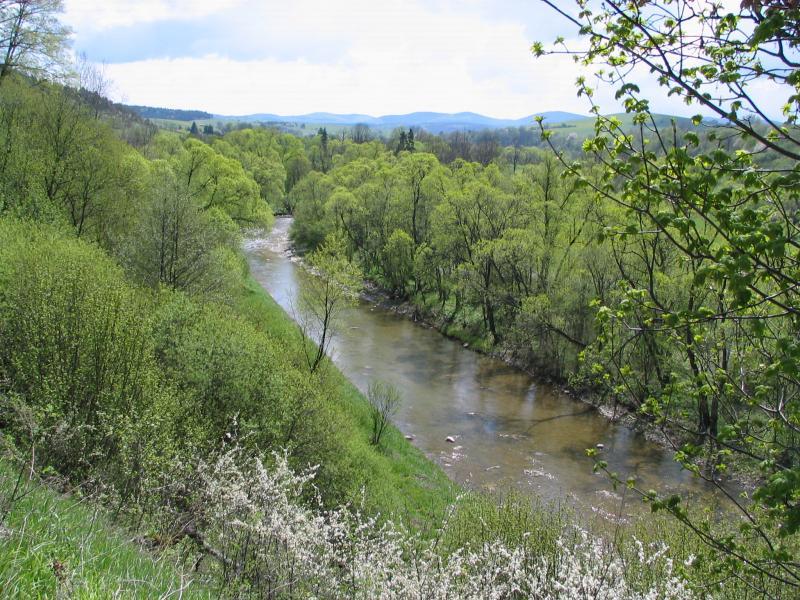 bieszczady, osława, smolnik