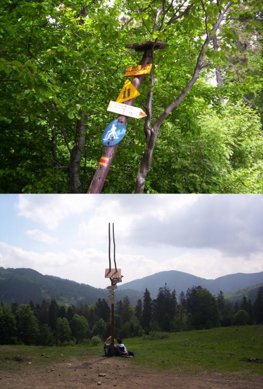 Zdjęcie z wycieczki rowerowej