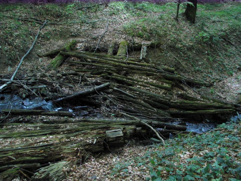 przejazd, bieszczady, chryszczata