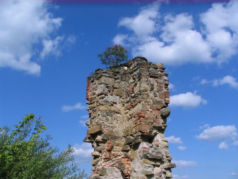 klasztor, ruiny, zagórz