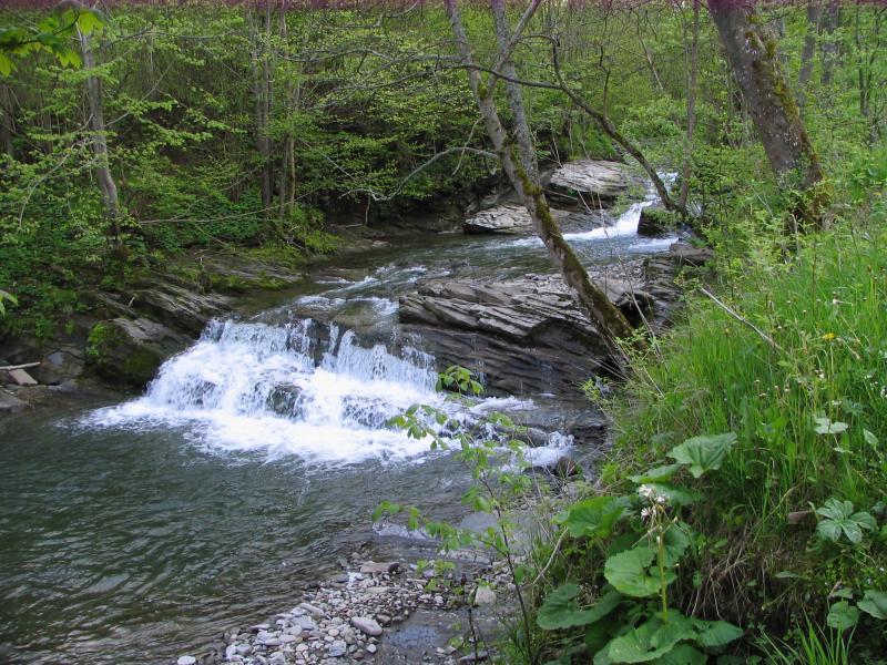 bieszczady, nasiczne, potok, kaskady