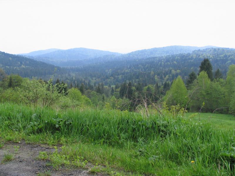 góry, bieszczady, ukraina